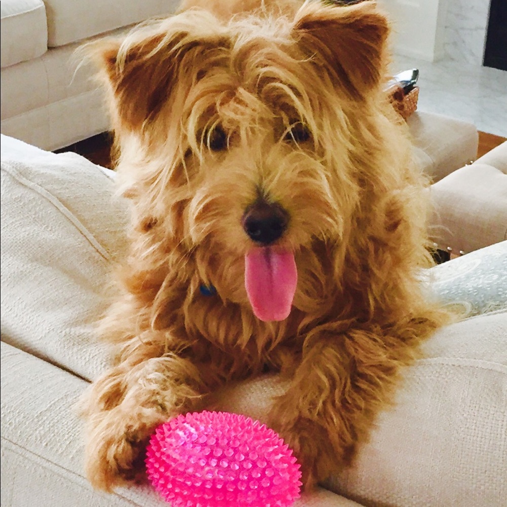 Meet your Posher, Pat